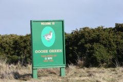 Goose-Green-6-800x600
