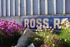 Ross-Road-Flowers-800x600-1